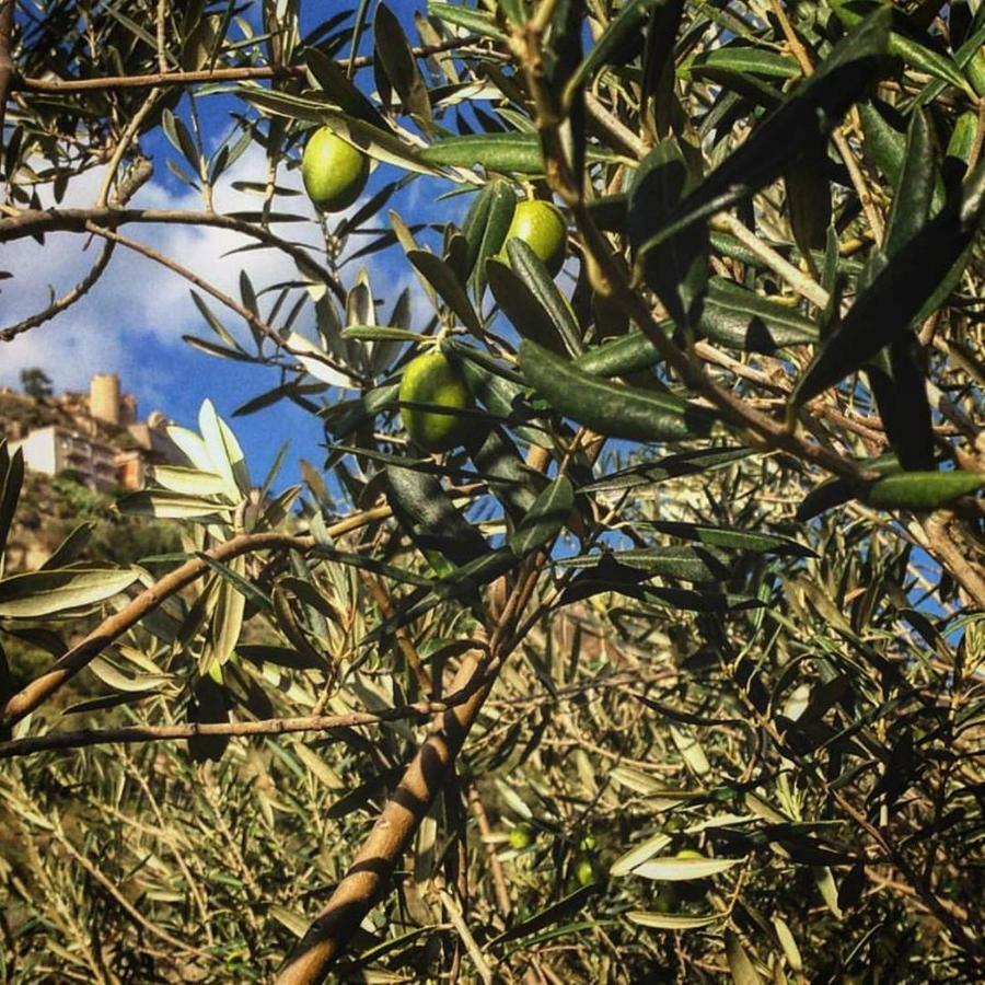 מלון Licodia Eubea Experience Il Paesino מראה חיצוני תמונה